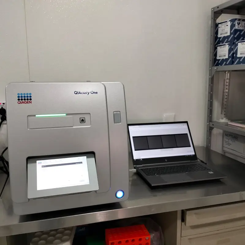 Laboratorio: estación de trabajo 2