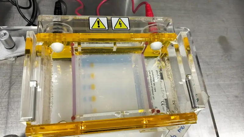Laboratorio: sala 6