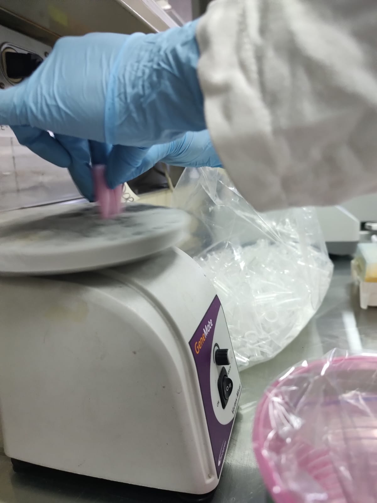 Dra. Martha Eugenia Ruiz Tachiquín, directora del laboratorio de biología molecular